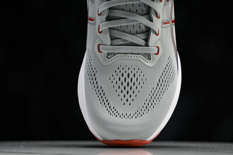 Asics Gel-kayano 31 1011B867-021
