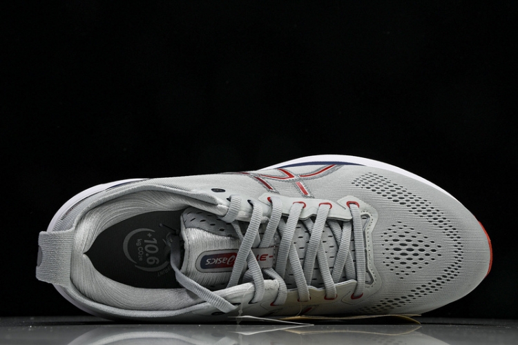 Asics Gel-kayano 31 1011B867-021