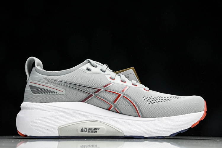 Asics Gel-kayano 31 1011B867-021