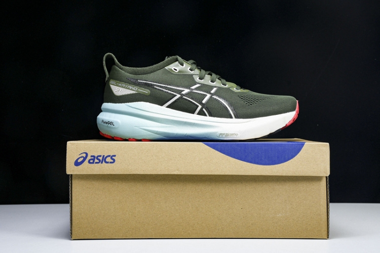 Asics Gel-kayano 31 1011B867-301