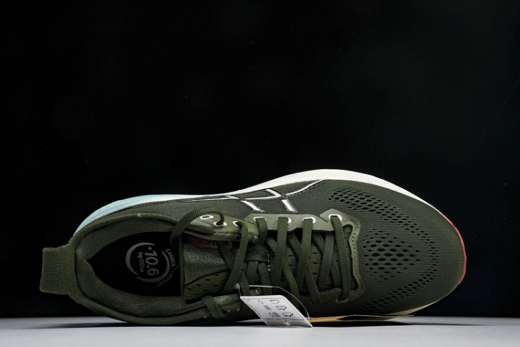 Asics Gel-kayano 31 1011B867-301