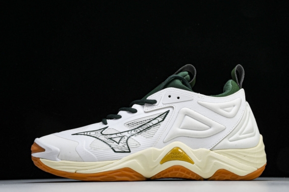 Mizuno Wave Momentum V1GA231244 