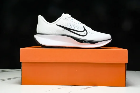 Nike Quest 6 FD6033-105 
