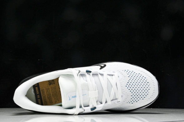 Nike Quest 6 FD6033-105 