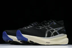 Asics Gel-kayano 31 1011B995-001