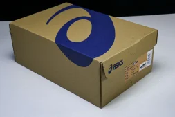 Asics Gel-kayano 31 1011B995-001