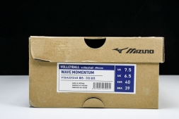 Mizuno Wave Momentum V1GA231245
