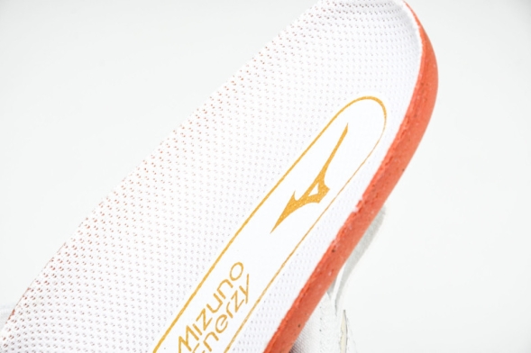 Mizuno Wave Momentum V1GA231245 