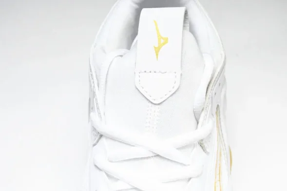 Mizuno Wave Momentum V1GA231245 