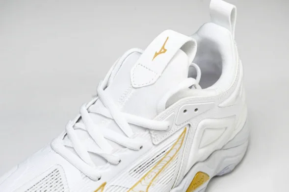 Mizuno Wave Momentum V1GA231245 