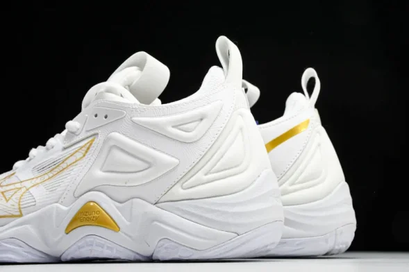 Mizuno Wave Momentum V1GA231245 