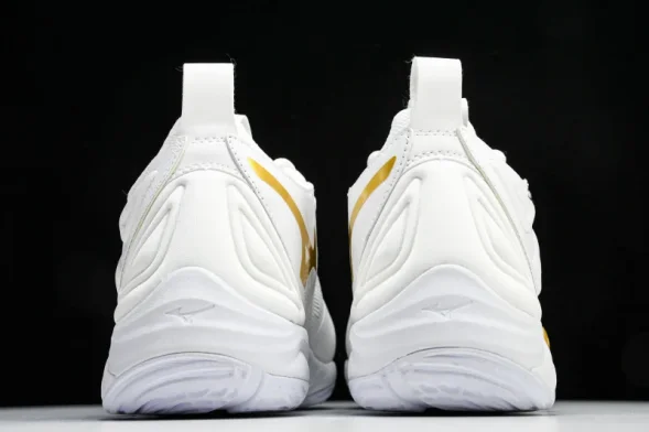 Mizuno Wave Momentum V1GA231245 