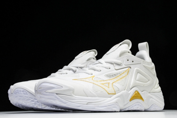 Mizuno Wave Momentum V1GA231245 