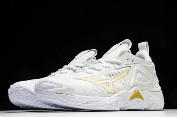 Mizuno Wave Momentum V1GA231245 