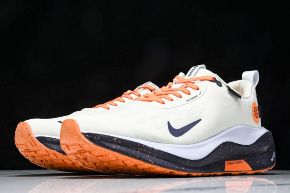 Nike ReactX Infinity RN 4 Gore-TEX FB2204-002 