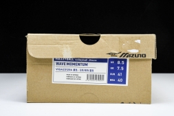 Mizuno Wave Momentum V1GA231256