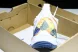 Mizuno Wave Momentum V1GA231256  