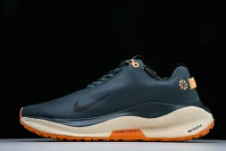 Nike ReactX Infinity RN 4 Gore-TEX FB2204-300