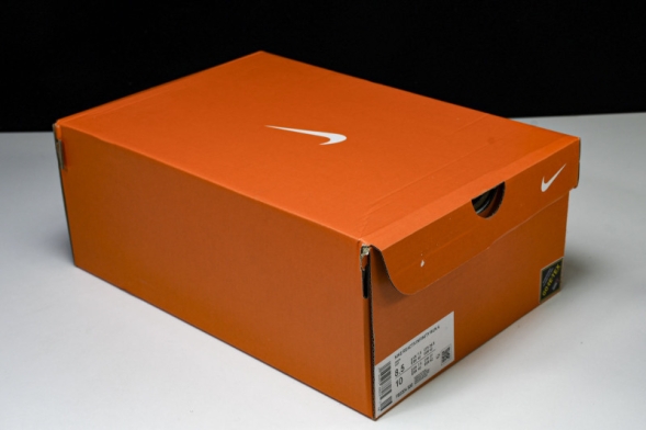 Nike ReactX Infinity RN 4 Gore-TEX FB2204-300 