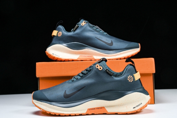 Nike ReactX Infinity RN 4 Gore-TEX FB2204-300 