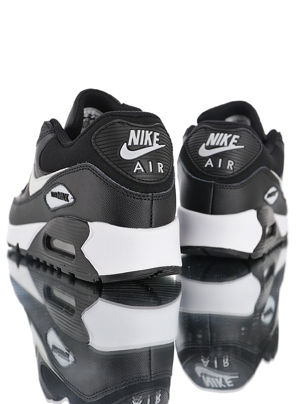 Nike Air Max 90 Essential 325213-060