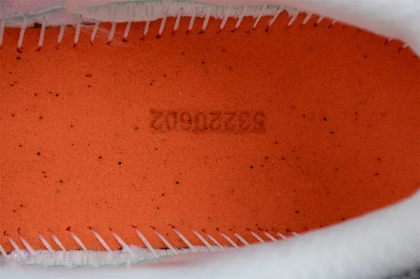 Asics Gel-Kahana TR V2 1203A259-100 