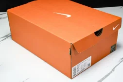 Nike ReactX Infinity RN 4 Gore-TEX FB2204-101