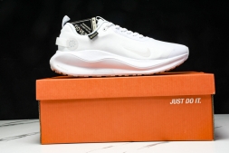 Nike ReactX Infinity RN 4 Gore-TEX FB2204-101