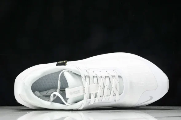 Nike ReactX Infinity RN 4 Gore-TEX FB2204-101 