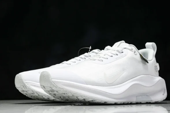 Nike ReactX Infinity RN 4 Gore-TEX FB2204-101 