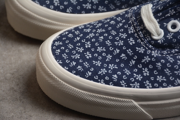Vans Authentic VN0A7Q5CNVY 