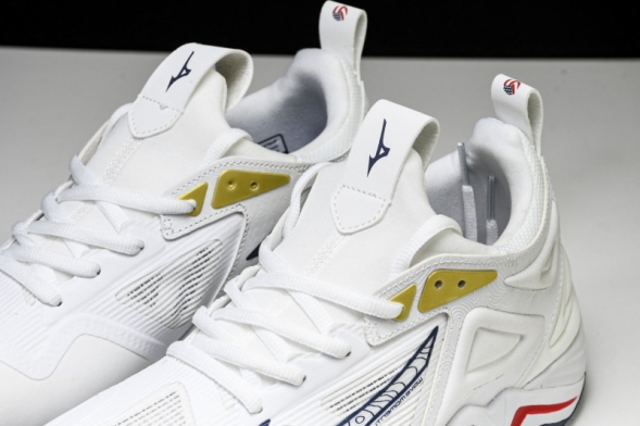 Mizuno Wave Momentum V1GB241346 