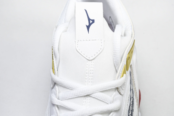 Mizuno Wave Momentum V1GB241346 