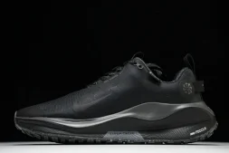 Nike ReactX Infinity RN 4 Gore-TEX FB2197-002