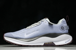 Nike ReactX Infinity RN 4 Gore-TEX HQ0265-400