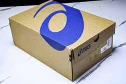 Asics Gel-Challenger 14 1042A231-700