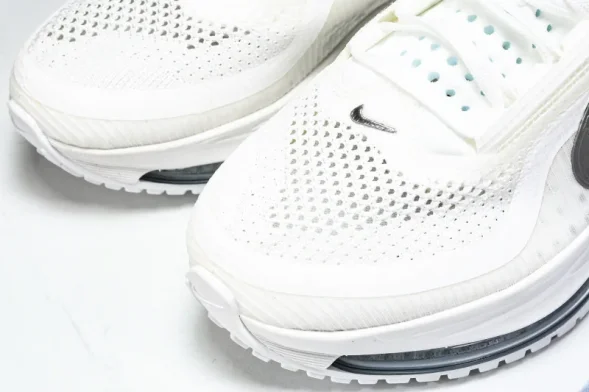 Nike Air Zoom Pegasus Premium HQ2592-102 