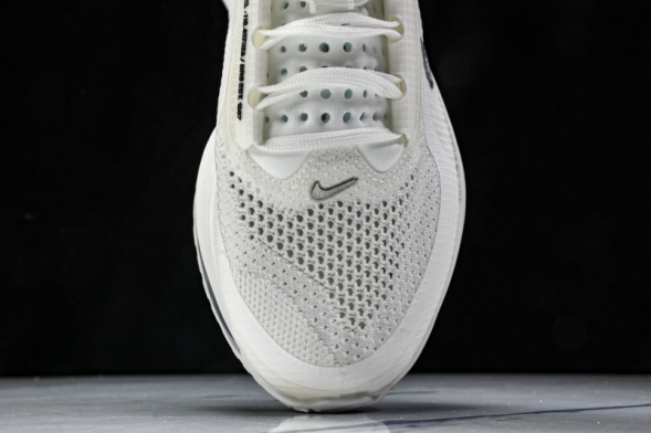 Nike Air Zoom Pegasus Premium HQ2592-102 