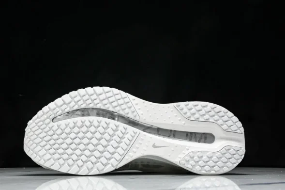 Nike Air Zoom Pegasus Premium HQ2592-102 