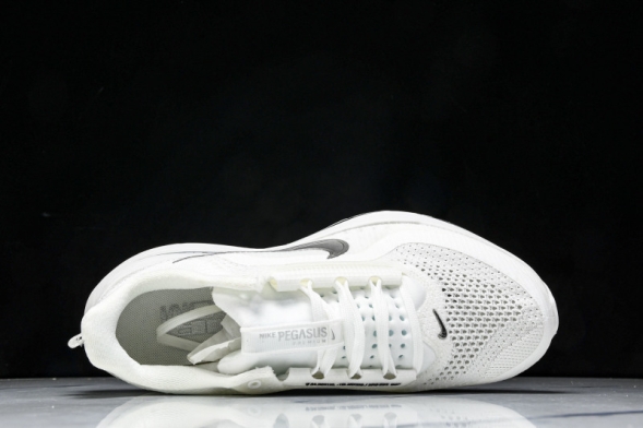 Nike Air Zoom Pegasus Premium HQ2592-102 