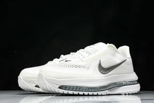 Nike Air Zoom Pegasus Premium HQ2592-102 