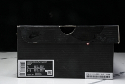 Nike ACG Mountain Fly 2 Low SP FZ3311-001