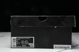 Nike ACG Mountain Fly 2 Low SP FZ3311-001