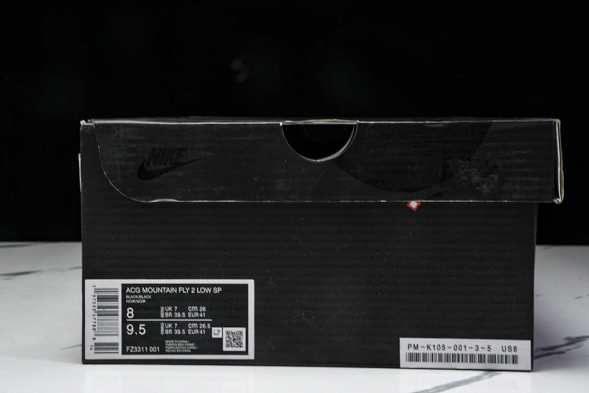 Nike ACG Mountain Fly 2 Low SP FZ3311-001 