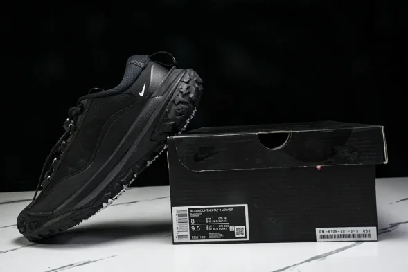 Nike ACG Mountain Fly 2 Low SP FZ3311-001 