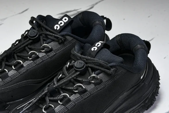 Nike ACG Mountain Fly 2 Low SP FZ3311-001 
