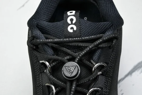 Nike ACG Mountain Fly 2 Low SP FZ3311-001 