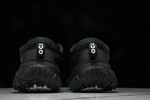 Nike ACG Mountain Fly 2 Low SP FZ3311-001 