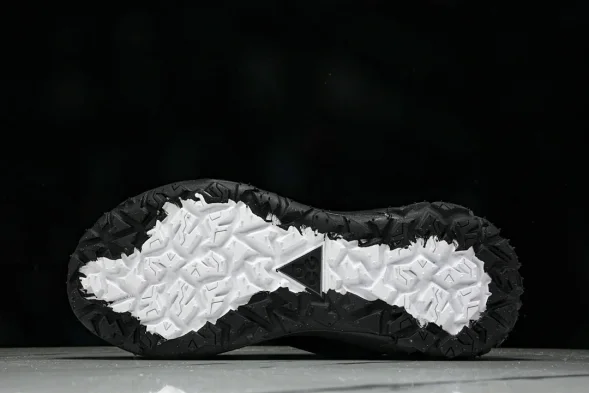 Nike ACG Mountain Fly 2 Low SP FZ3311-001 
