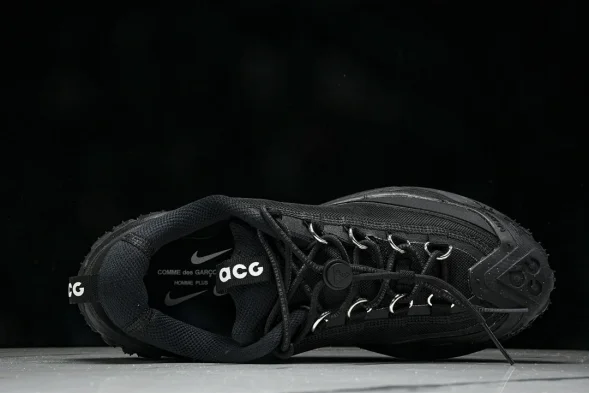 Nike ACG Mountain Fly 2 Low SP FZ3311-001 